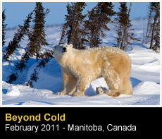 Manitoba