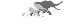 African Wildlife Foundation